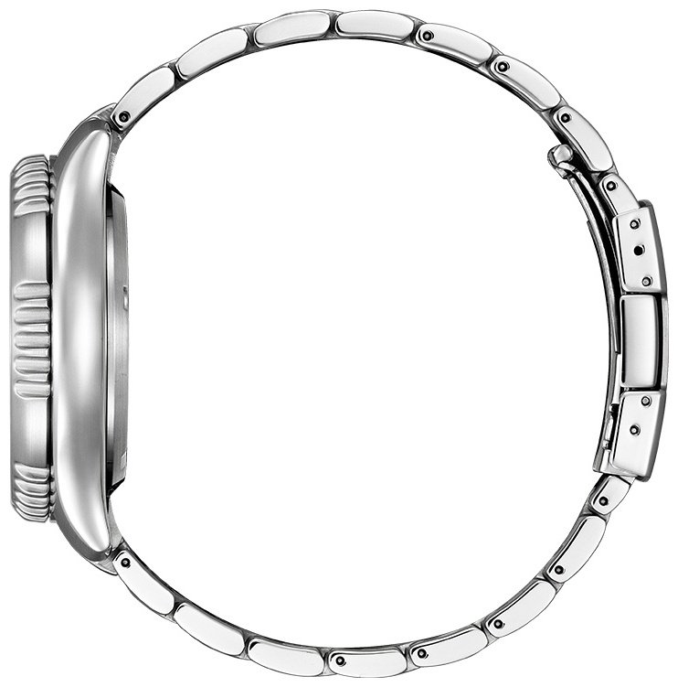 Часы Механические Citizen NY0130-83E нержавеющая сталь купить,NaN