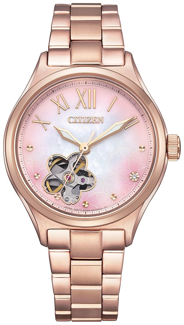 Часы Часы Citizen PC1017-70Y нержавеющая сталь купить,NaN