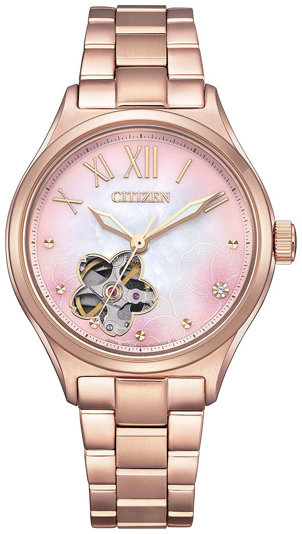 Часы Часы Citizen PC1017-70Y нержавеющая сталь купить,NaN