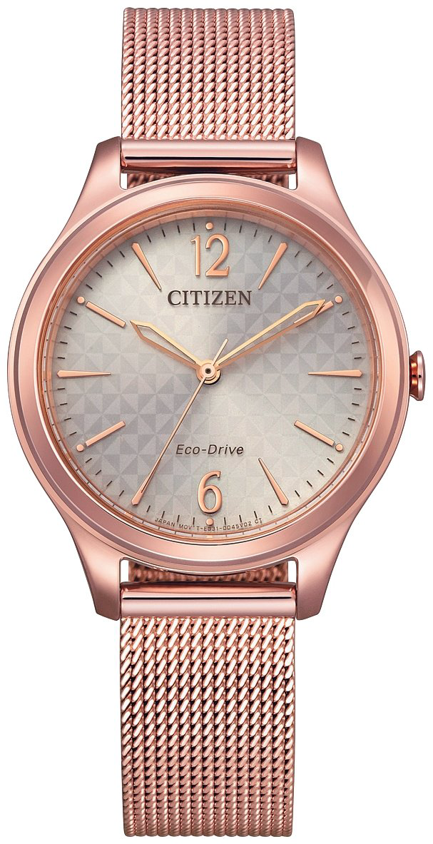 Часы Кварцевые Citizen EM0508-80X нержавеющая сталь