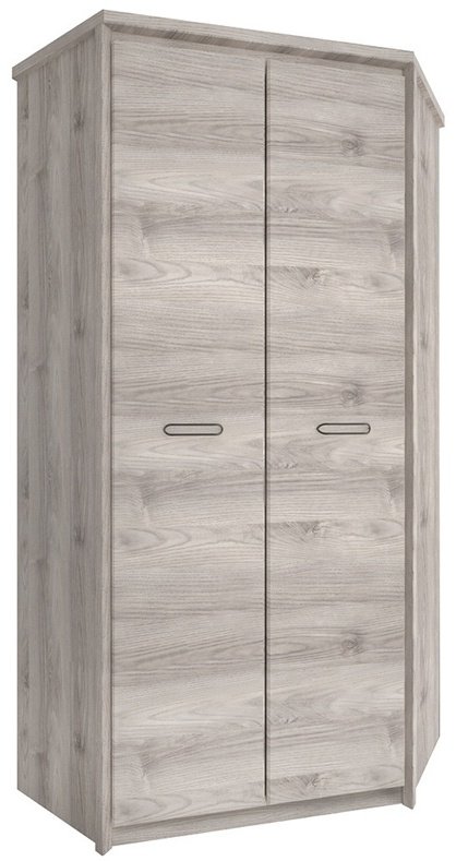 Распашной шкаф ANREX Джаз 2D Каштан найроби, 101.3x210х101.3 см, коричневый