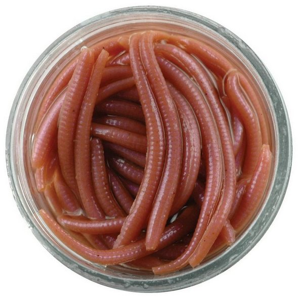 Мягкая приманка Berkley 1140586-GR 60 шт  Natural Angleworm купить,NaN