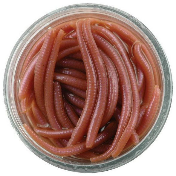 Мягкая приманка Berkley 1140586-GR 60 шт  Natural Angleworm купить,NaN