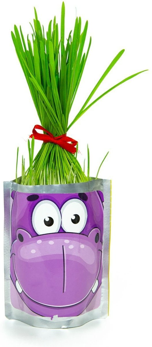 Выращивание растений Happy Plant Бегемот купить,NaN