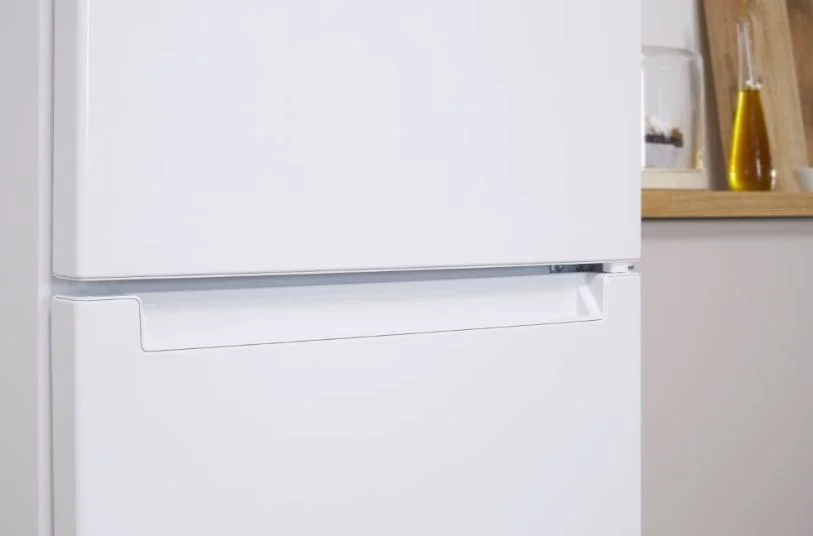Холодильник Indesit DS 4200 W белый купить,184990