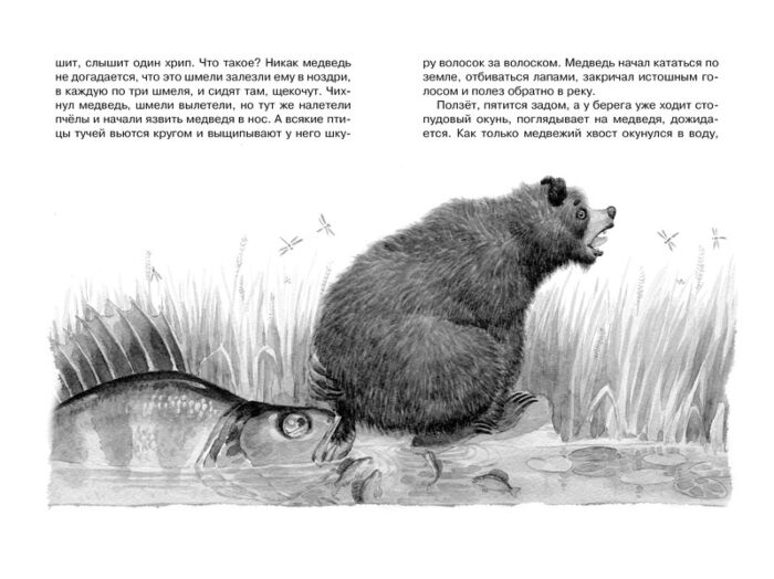 Детская литература Паустовский К.Г. Кот-ворюга  купить,NaN