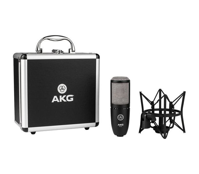 Микрофон AKG P220 черный купить,162899