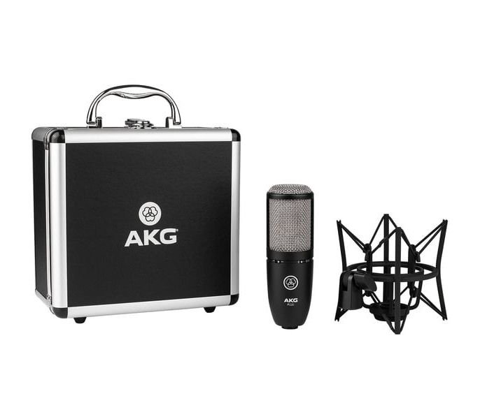 Микрофон AKG P220 черный купить,162899