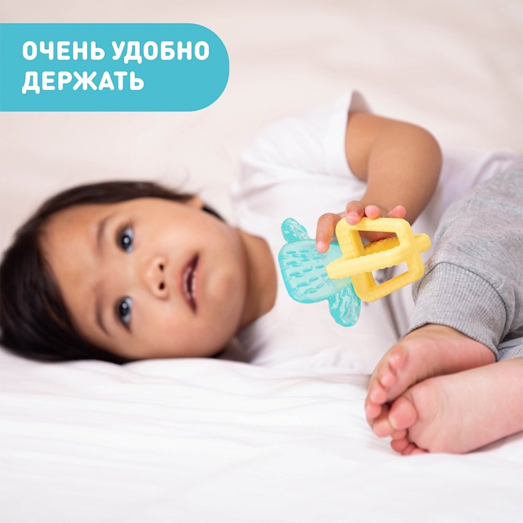 Chicco кактус 1278703 зеленый купить,NaN