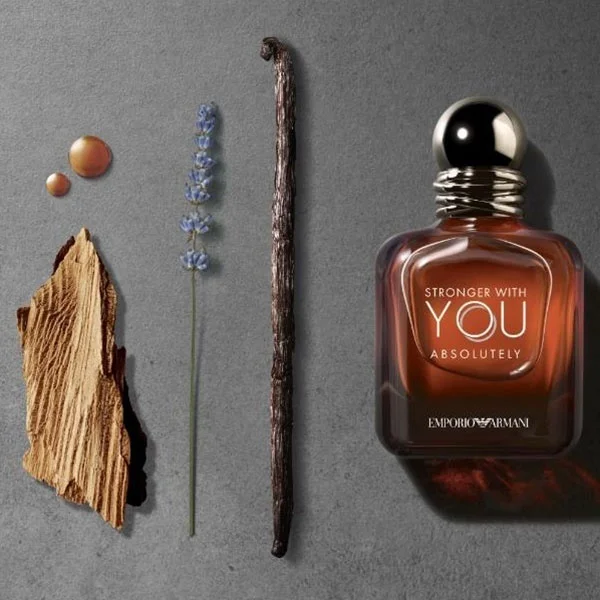 Парфюмерная вода Giorgio Armani Stronger With You Absolutely 100мл купить,42900
