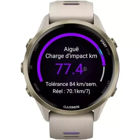  Спортивные часы Forerunner 970 010-02969-12 Gold Titanium with French Gray Case and French Gray/Translucent Indigo Band купить,0