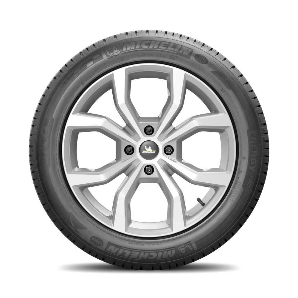 Шина Michelin Energy XM2+ 185/70 R14 88H летняя  купить,NaN