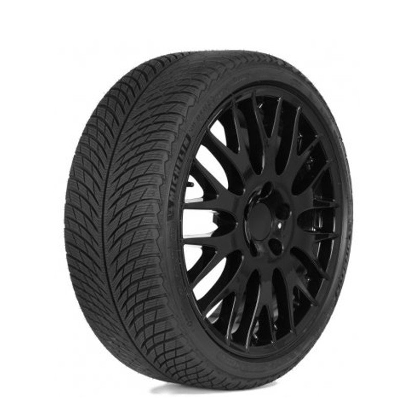Шина Michelin Pilot Alpin 5 255/40 R20 101V XL зимняя  купить,NaN