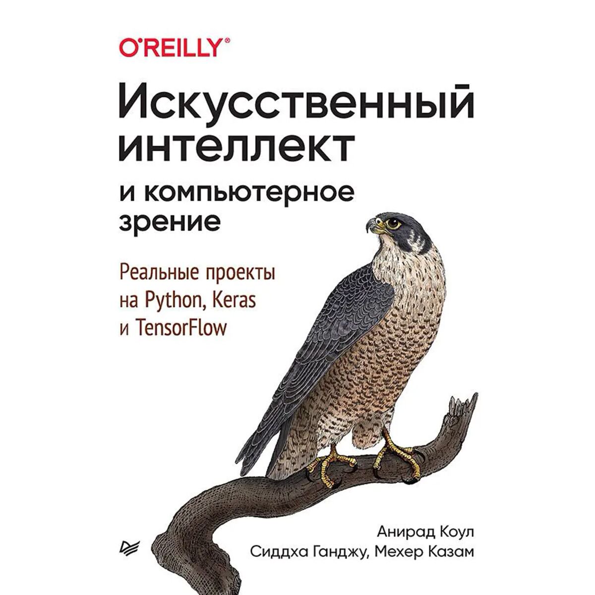 IT Коул А., Ганджу С., Казам М.: Искусственный интеллект и компьютерное зрение. Реальные проекты на Python, Keras и TensorFlow купить,NaN