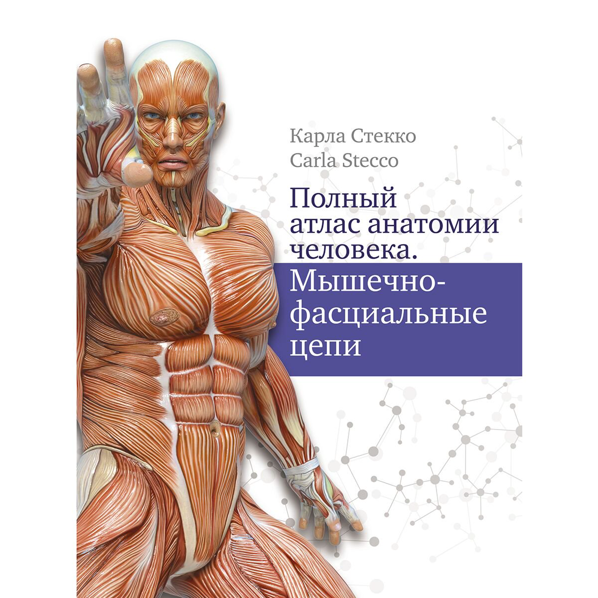 Здоровье Стекко К. Полный атлас анатомии человека. Мышечно-фасциальные цепи купить,NaN