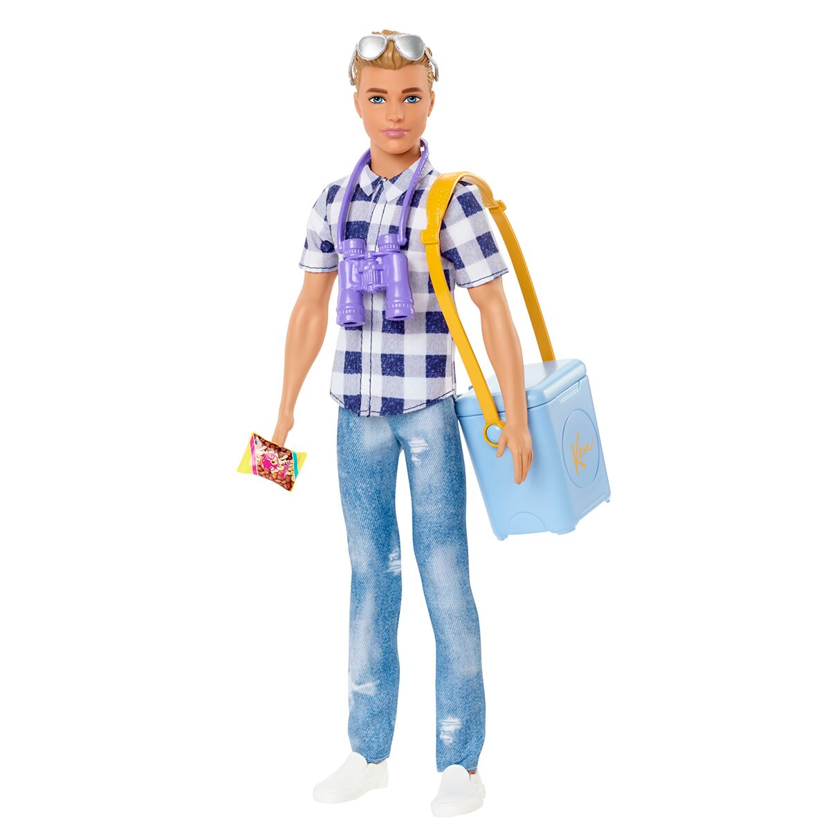 Кукла Ken Barbie Кемпинг HHR66 купить,NaN
