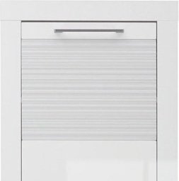 Тумба для обуви BRW Флеймс REG1D/11/5, 52x37x110 см, белый купить,0