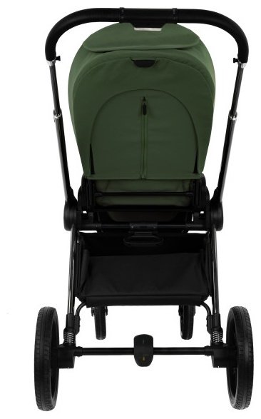 Коляска универсальная 2 в 1 Pituso Mayla Luxury LXR/555 Forest Green, зеленый купить,0