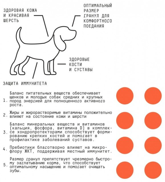 Корм AJO Basic Line Puppy & Junior для щенков средних и крупных пород 2 кг купить,NaN
