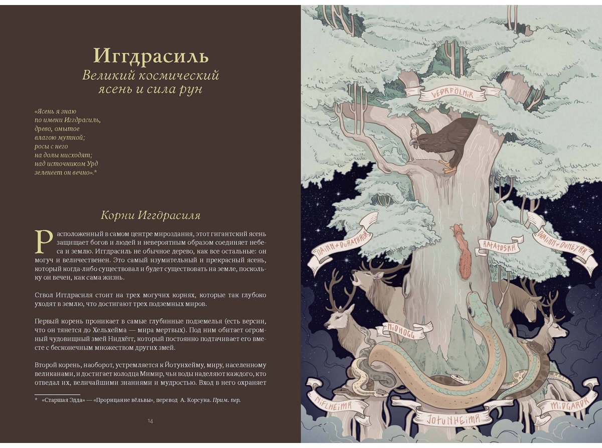 Книга Blackbashee, Сильвестре Я.: Волшебные и страшные мифы леса. От феникса до Иггдрасиля купить,NaN