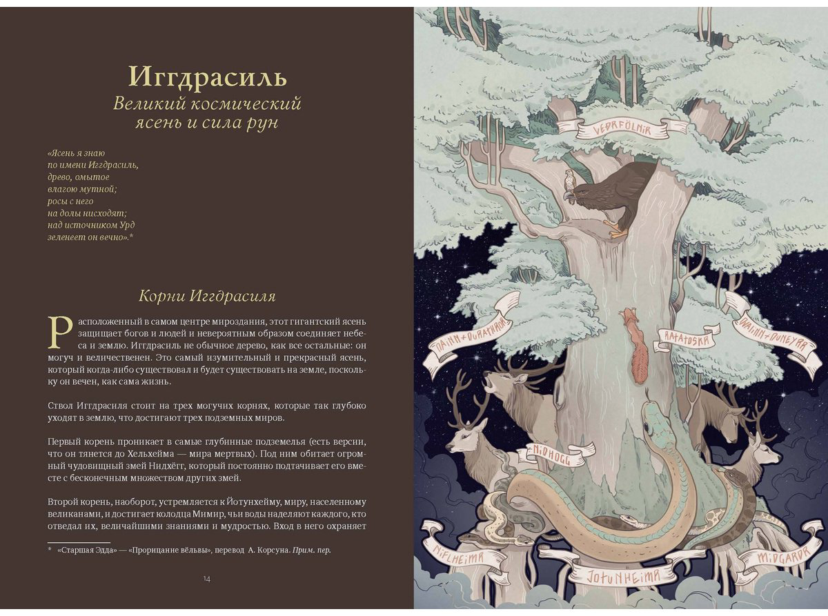 Книга Blackbashee, Сильвестре Я.: Волшебные и страшные мифы леса. От феникса до Иггдрасиля купить,NaN
