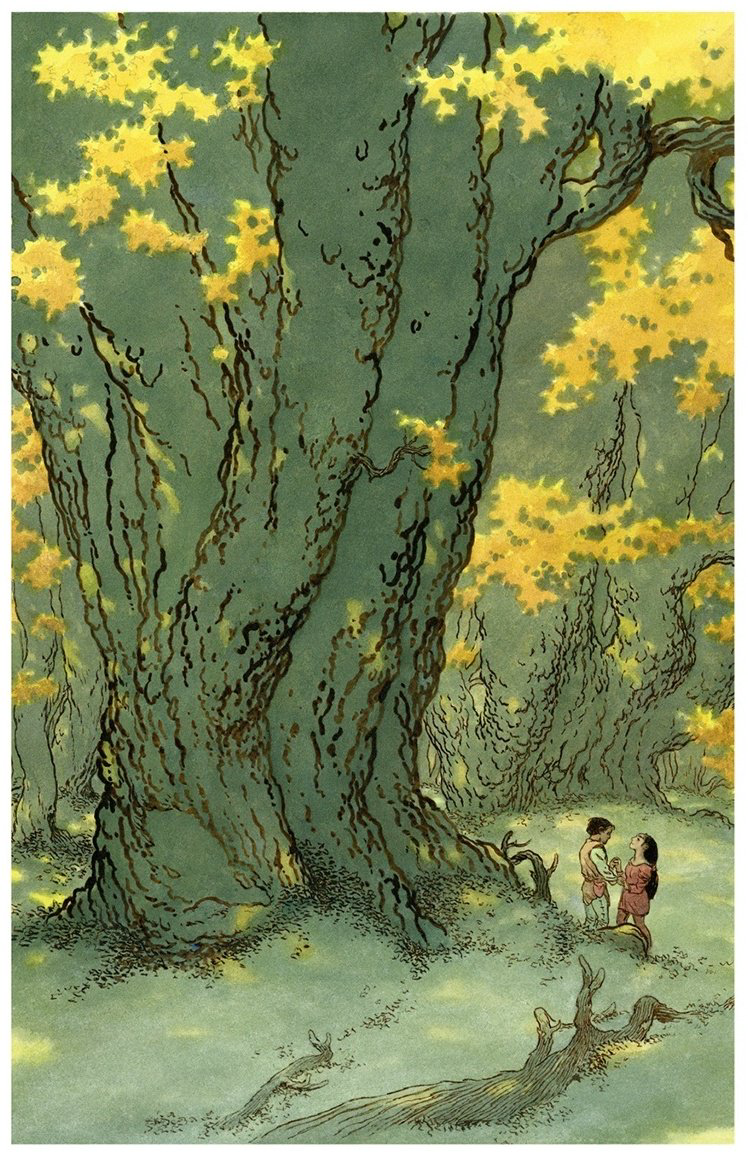 Книга Ле Гуин У.: Книги Земноморья купить,NaN