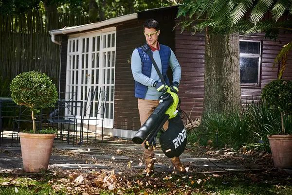 Садовый пылесос RYOBI RBV3000CESV 5133002190 купить,NaN