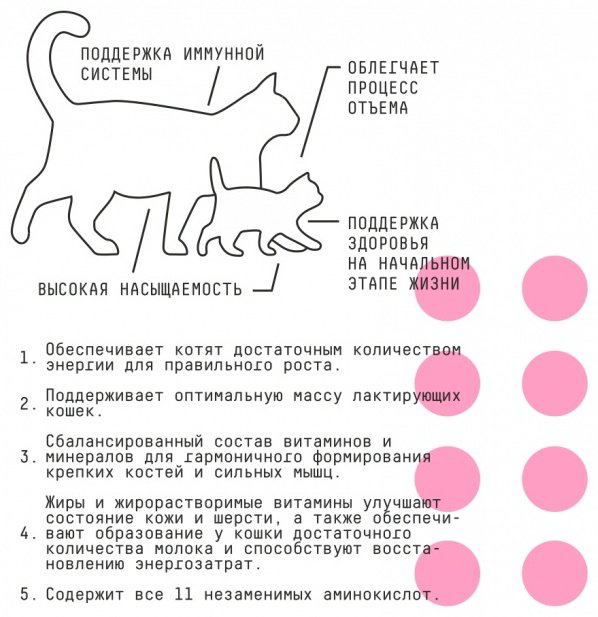 Корм AJO Basic Line Kitten & Mom для котят, беременных и кормящих индейка, курица 1.5 кг - ForteMarket Корм AJO Basic Line Kitten & Mom для котят, беременных и кормящих индейка, курица 1.5 кг купить,11700