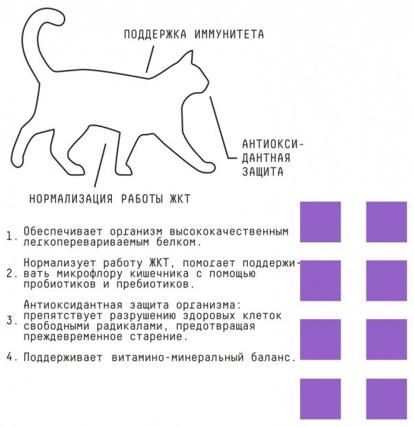 Корм AJO Special Line Sense при чувствительном пищеварении курица, оленина 10 кг - ForteMarket Корм AJO Special Line Sense при чувствительном пищеварении курица, оленина 10 кг купить,0