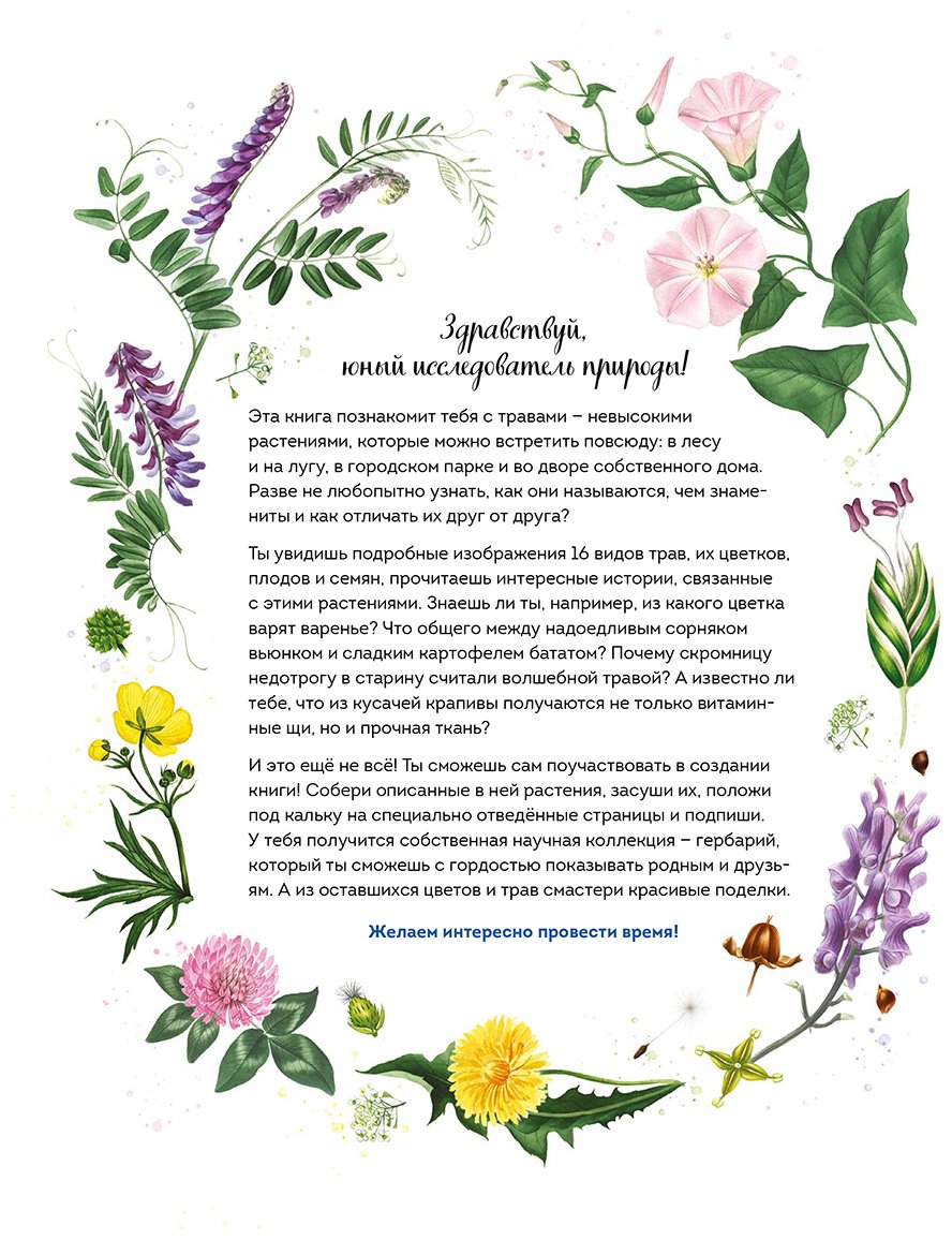Книга Джентиле Л.: Книжный в сердце Парижа купить,NaN
