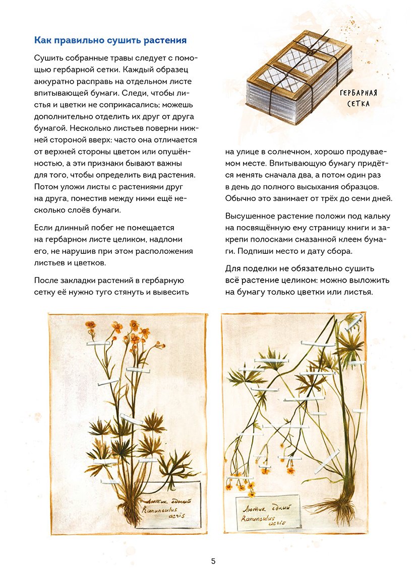 Книга Джентиле Л.: Книжный в сердце Парижа купить,NaN