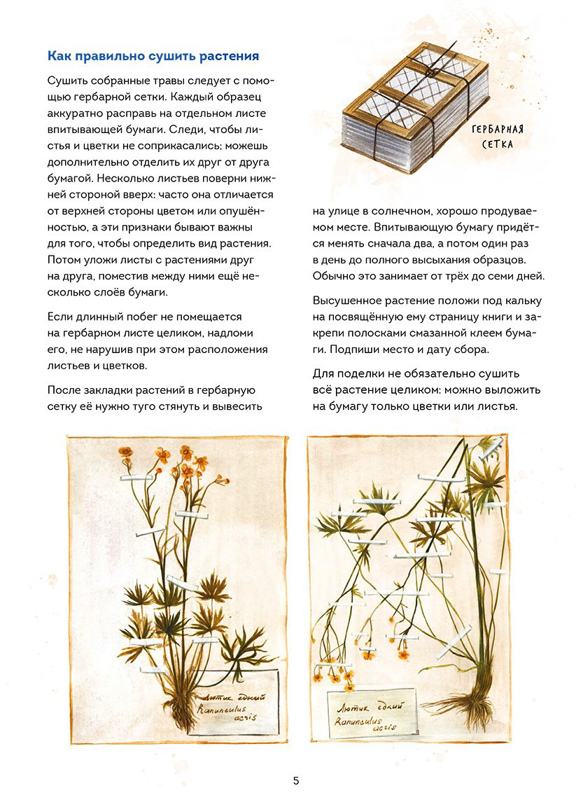 Книга Джентиле Л.: Книжный в сердце Парижа купить,NaN