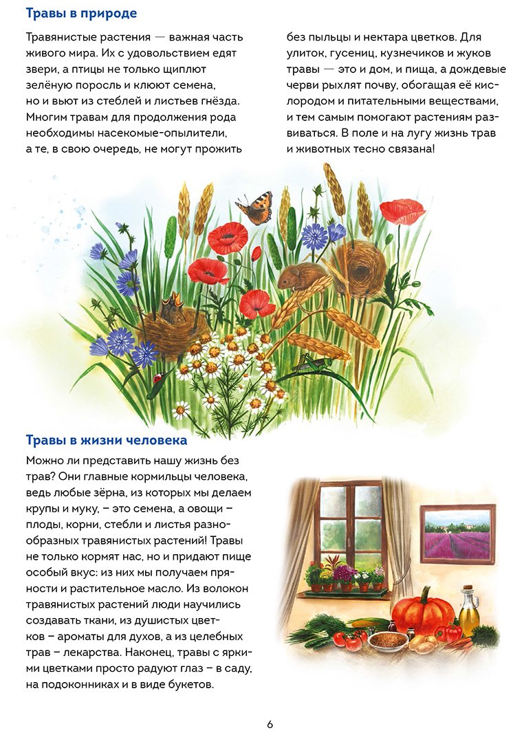 Книга Джентиле Л.: Книжный в сердце Парижа купить,NaN