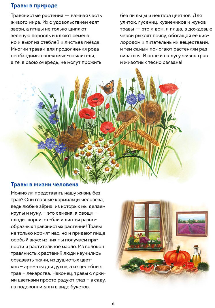 Книга Джентиле Л.: Книжный в сердце Парижа купить,NaN