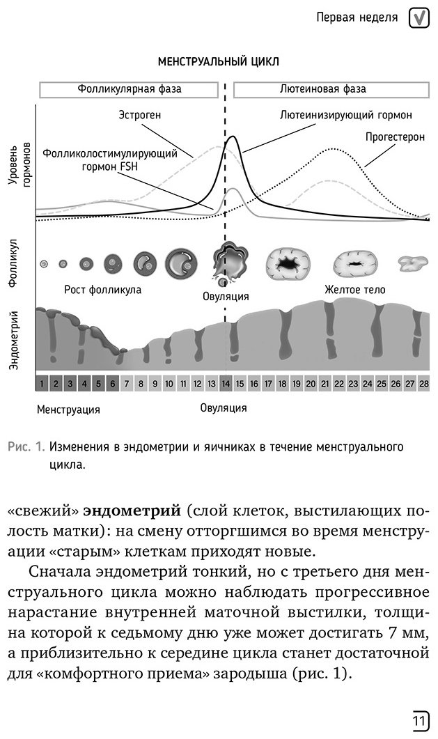 Книга Бондаренко К., Джохадзе Л., Кузнецов П.: Календарь беременности - неделя за неделей. Большое путешествие от зачатия до родов купить,NaN