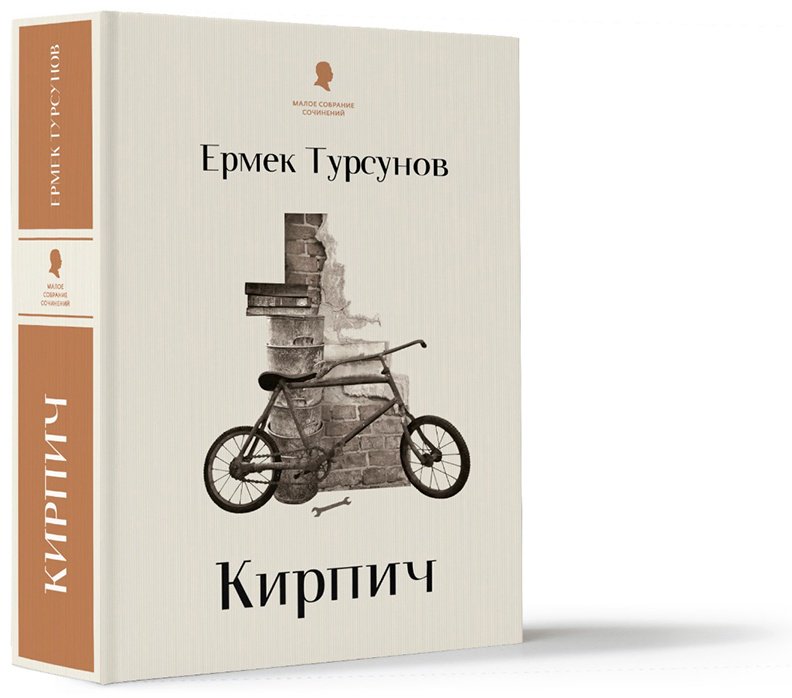 Книга Тұрсынов Е.: Кирпич (новый) купить,NaN