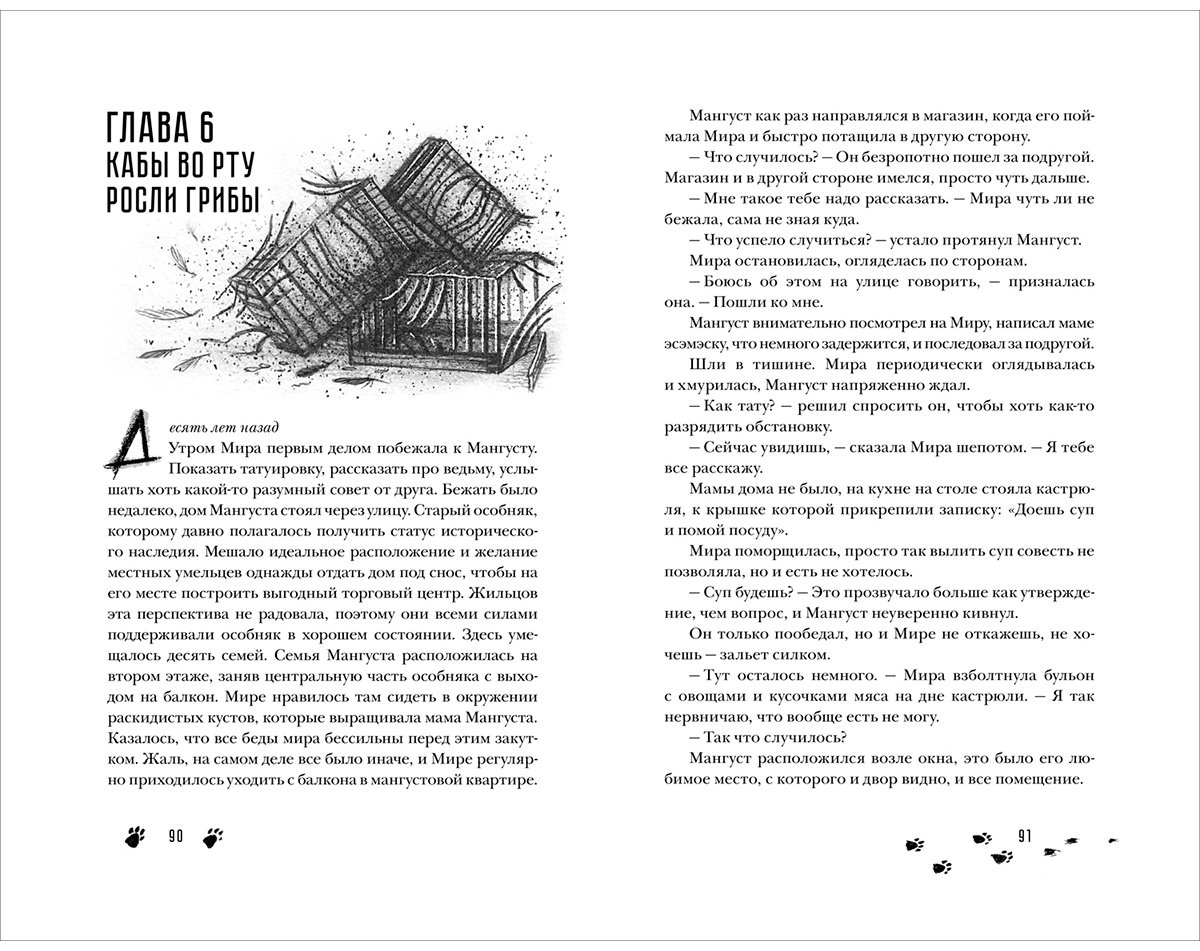 Книга Сова Н.: Сквозь туман меня не видно купить,NaN