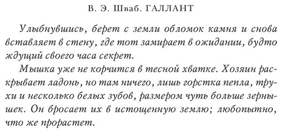 Книга Шваб В.: Галлант купить,NaN