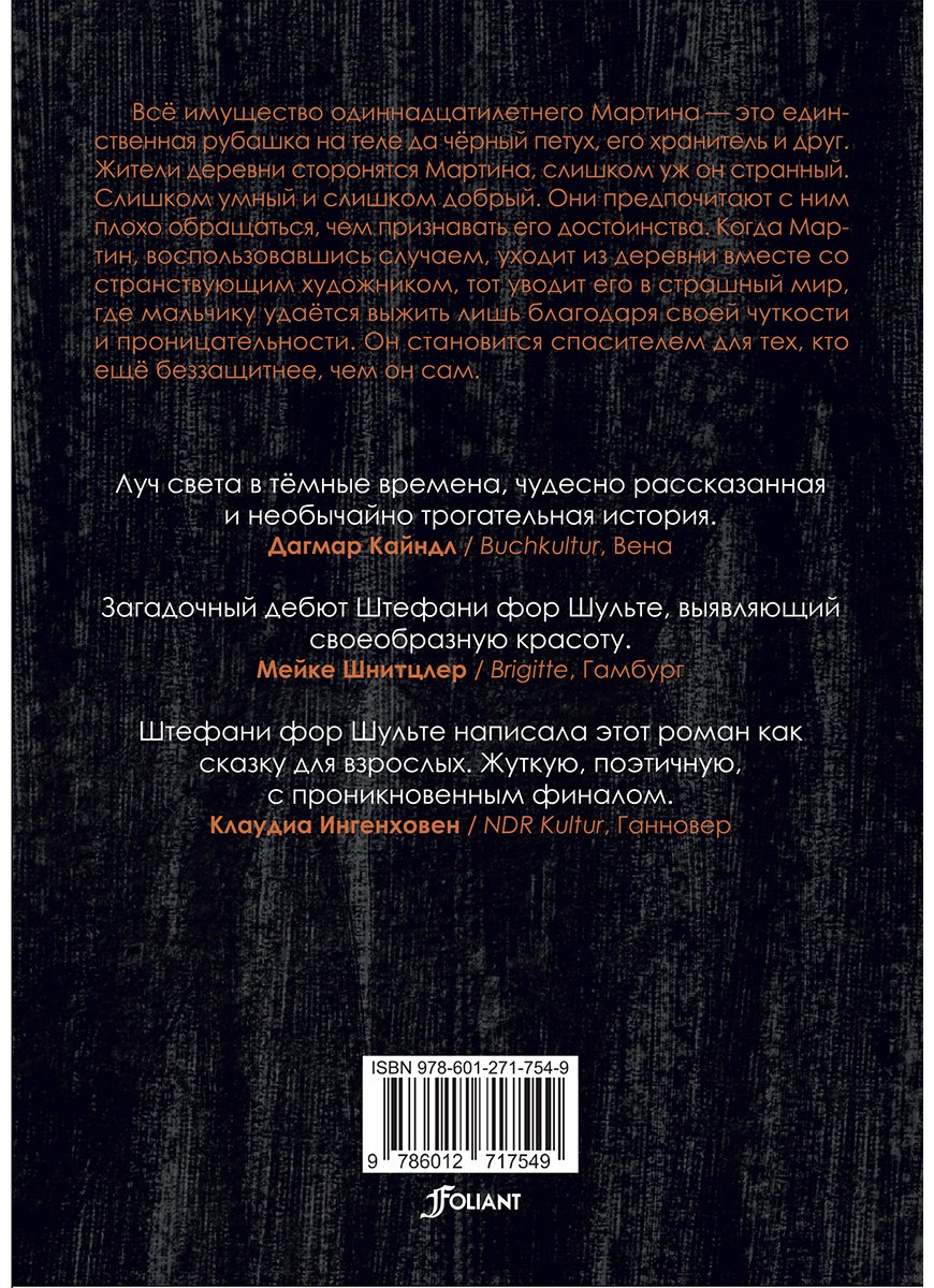 Книга Штефани фор Шульте: Мальчик с чёрным петухом купить,NaN