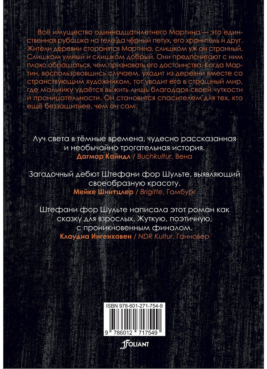 Книга Штефани фор Шульте: Мальчик с чёрным петухом купить,NaN
