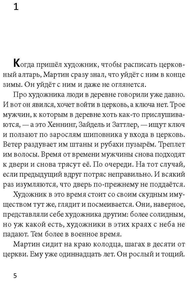 Книга Штефани фор Шульте: Мальчик с чёрным петухом купить,NaN