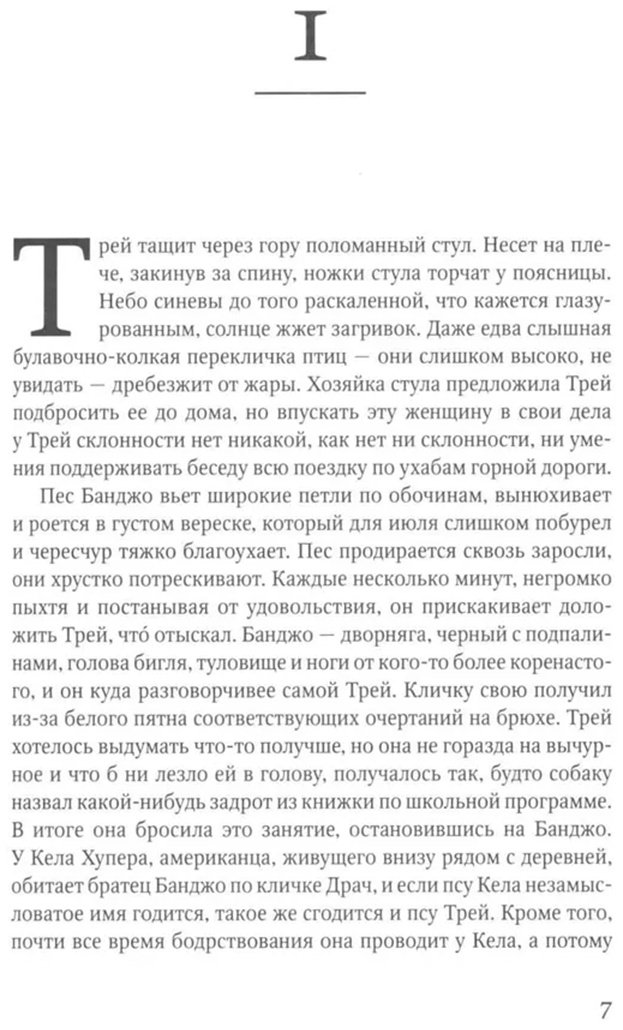 Книга Френч Т.: Охотник купить,NaN