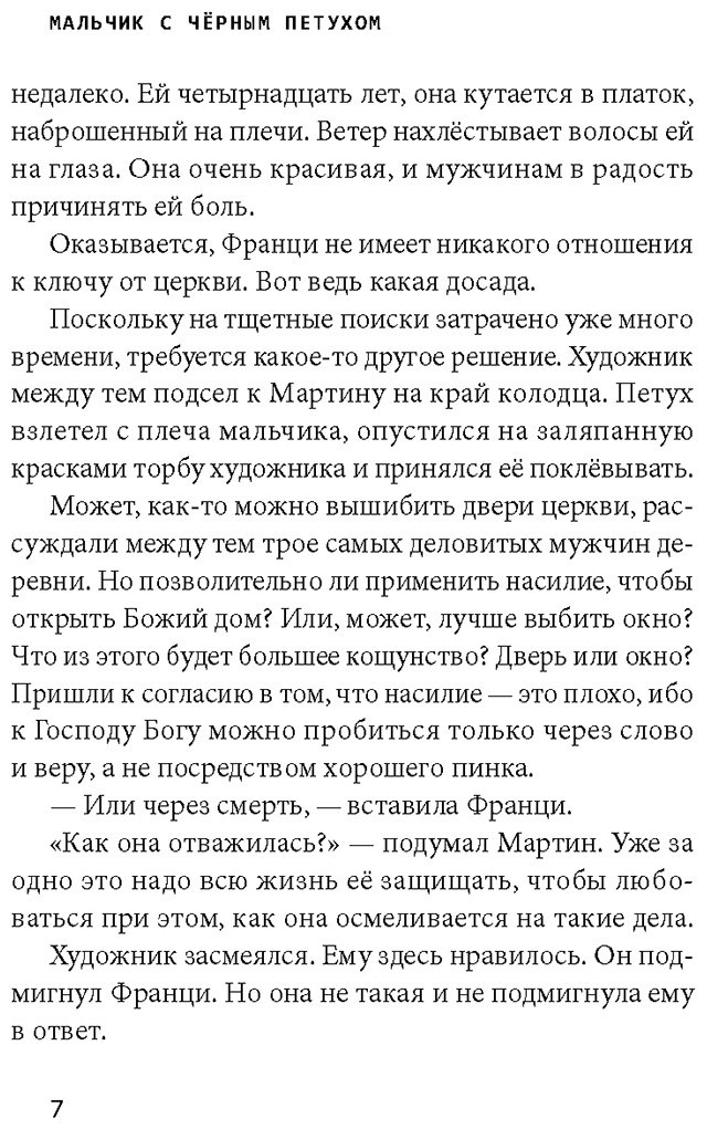 Книга Штефани фор Шульте: Мальчик с чёрным петухом купить,NaN