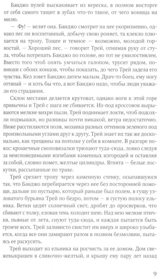 Книга Френч Т.: Охотник купить,NaN
