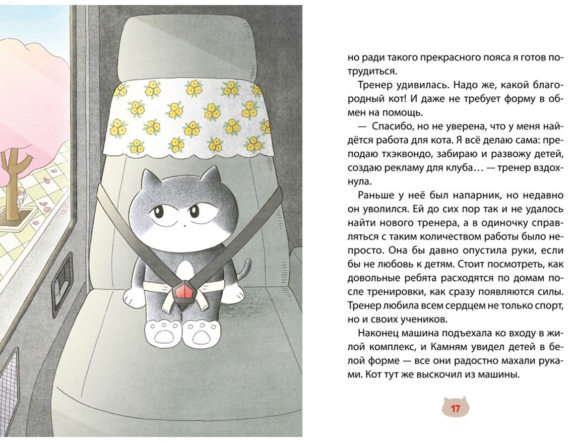 Книга Хон М.: Пельмешки для чемпиона купить,NaN