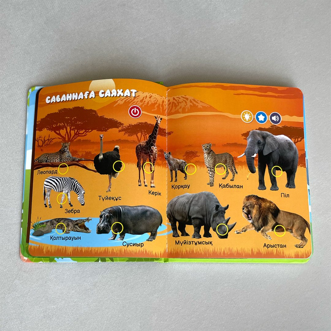 Книга Сұлтанмұрат Р.: Жануарлар әлемі купить,NaN