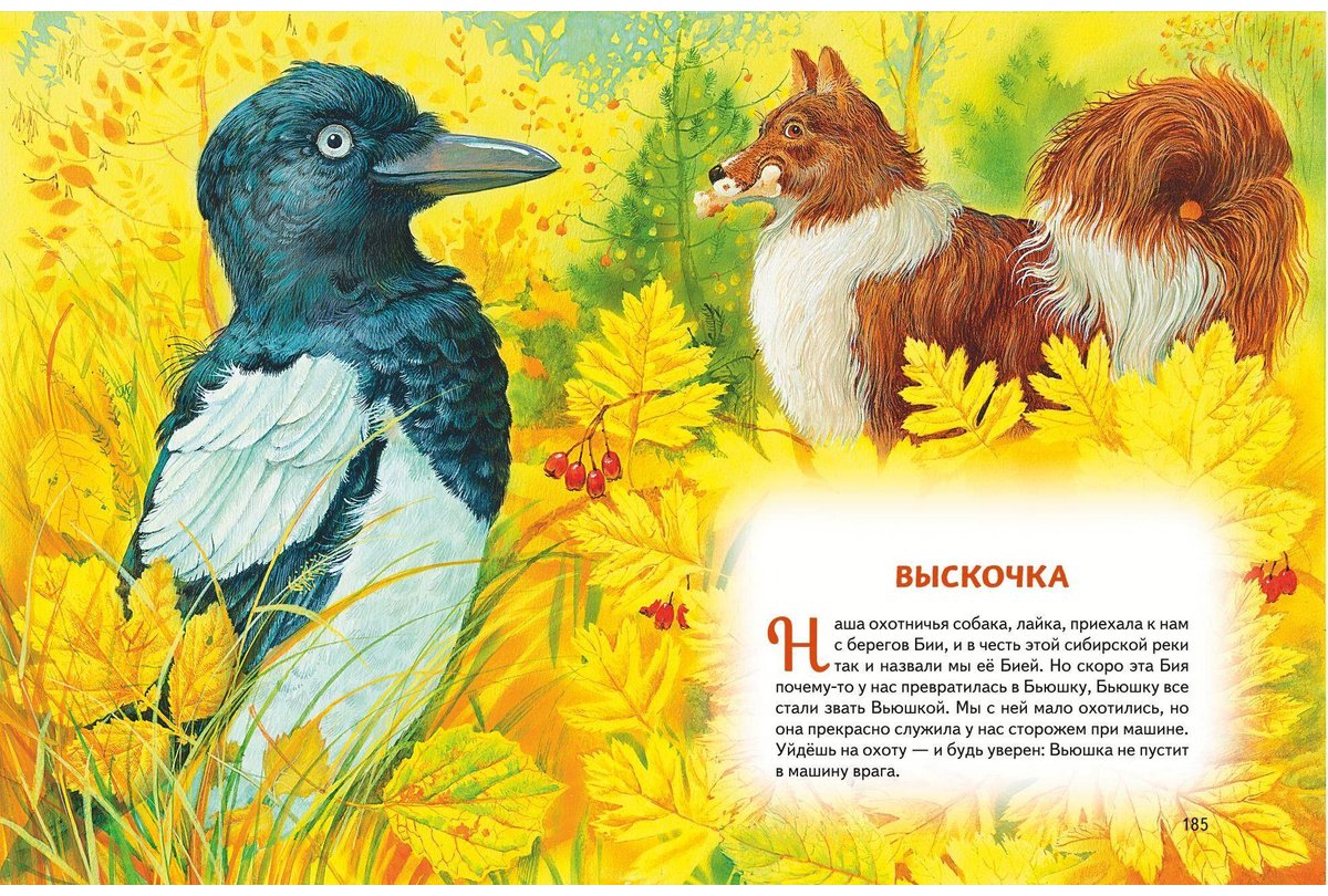 Книга Чехов А.&nbsp;П., Куприн А. И., Мамин-Сибиряк Д. Н.: Усы, перья и хвосты. Рассказы русских писателей о животных (илл. М. Белоусовой) купить,NaN