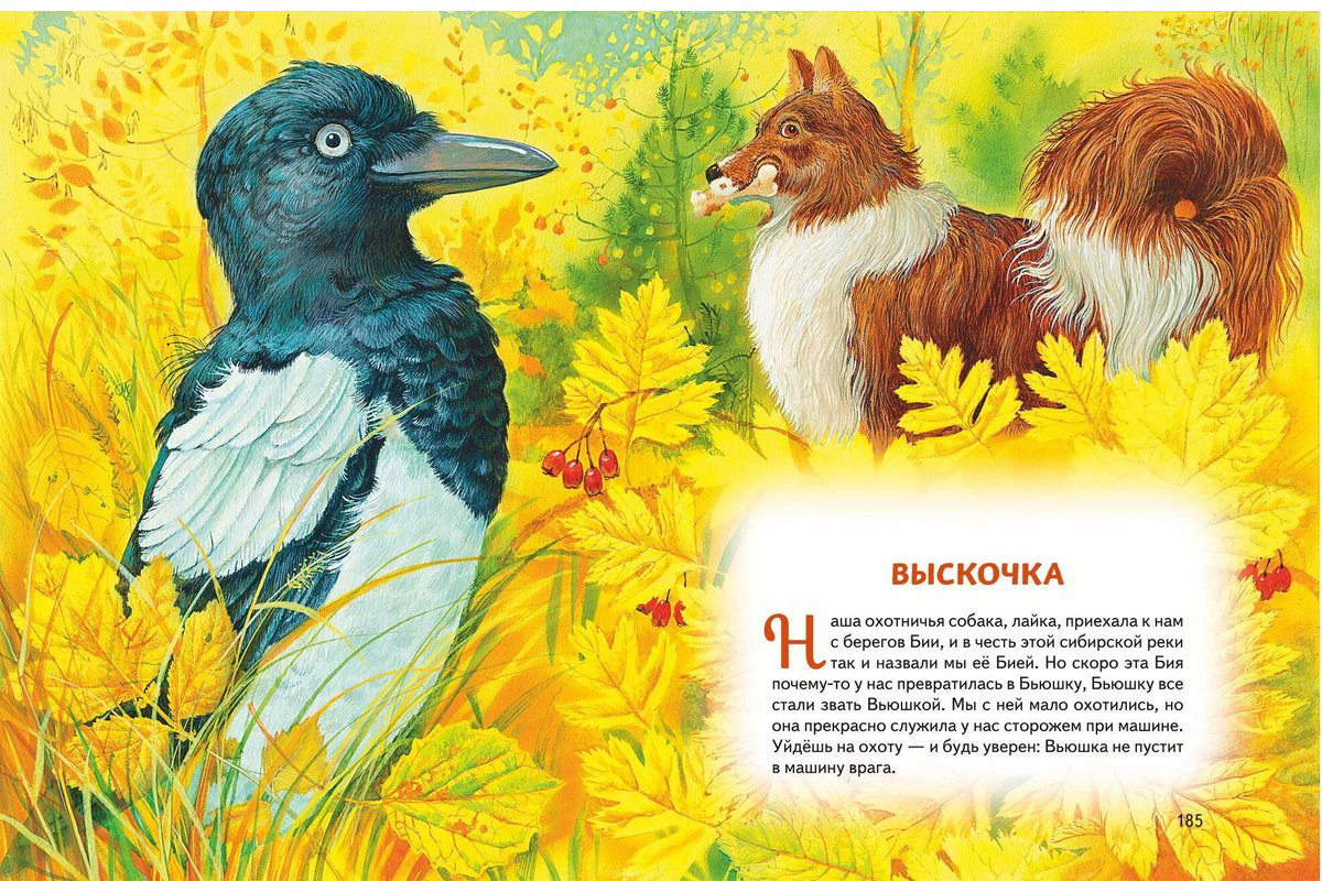 Книга Чехов А.&nbsp;П., Куприн А. И., Мамин-Сибиряк Д. Н.: Усы, перья и хвосты. Рассказы русских писателей о животных (илл. М. Белоусовой) купить,NaN