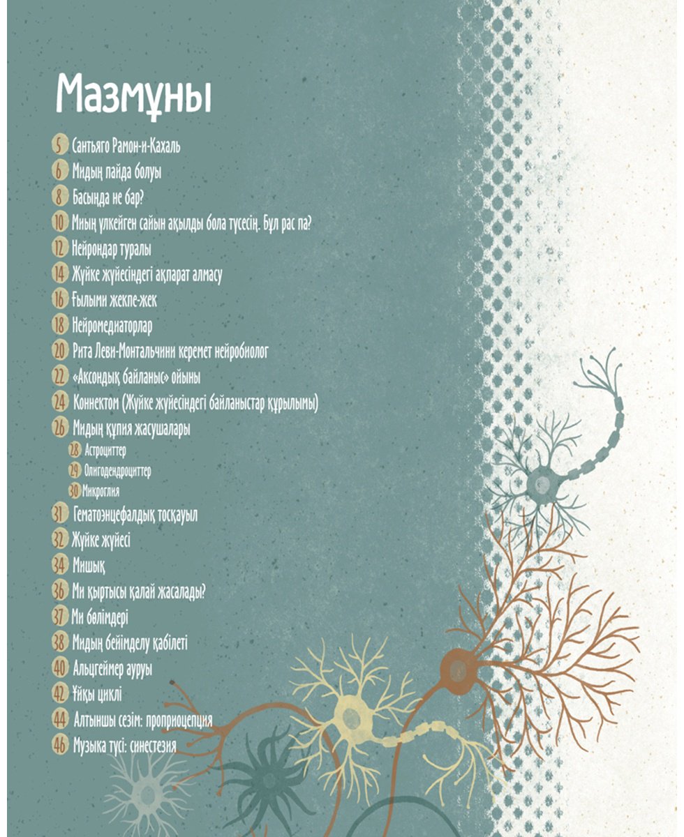 Книга Барречегурен Б.: Адам миы. Дәрігер Сантьяго Рамон-и-Кахальдің түсіндірмесі бойынша купить,NaN