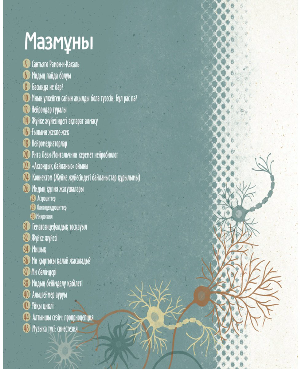 Книга Барречегурен Б.: Адам миы. Дәрігер Сантьяго Рамон-и-Кахальдің түсіндірмесі бойынша купить,NaN